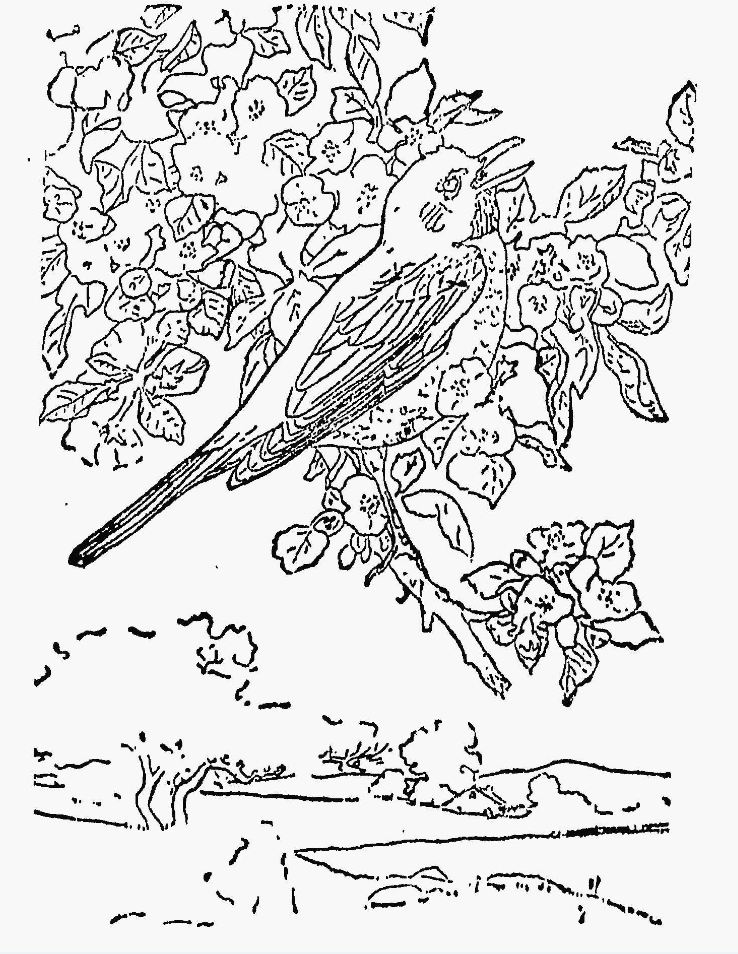 The Homeschool Voyager The Red, Red Robin