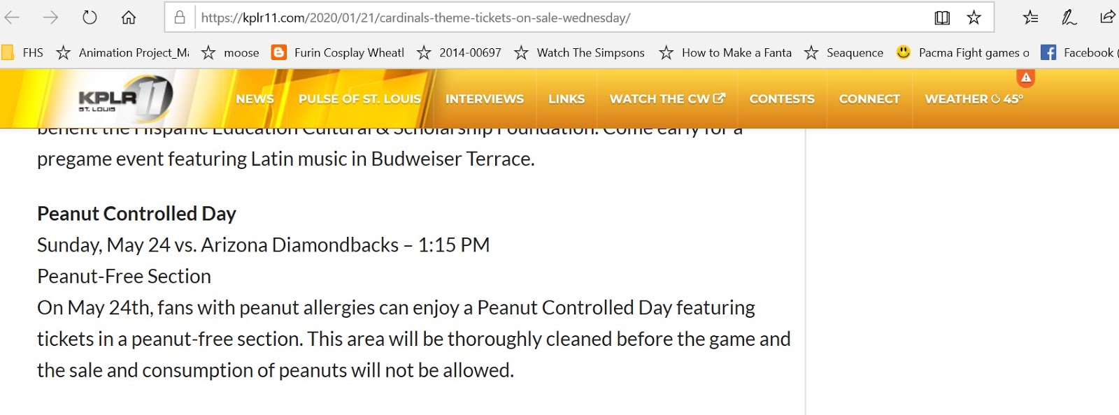 Free to Enjoy Baseball Peanut Allergy Friendly Baseball 2020