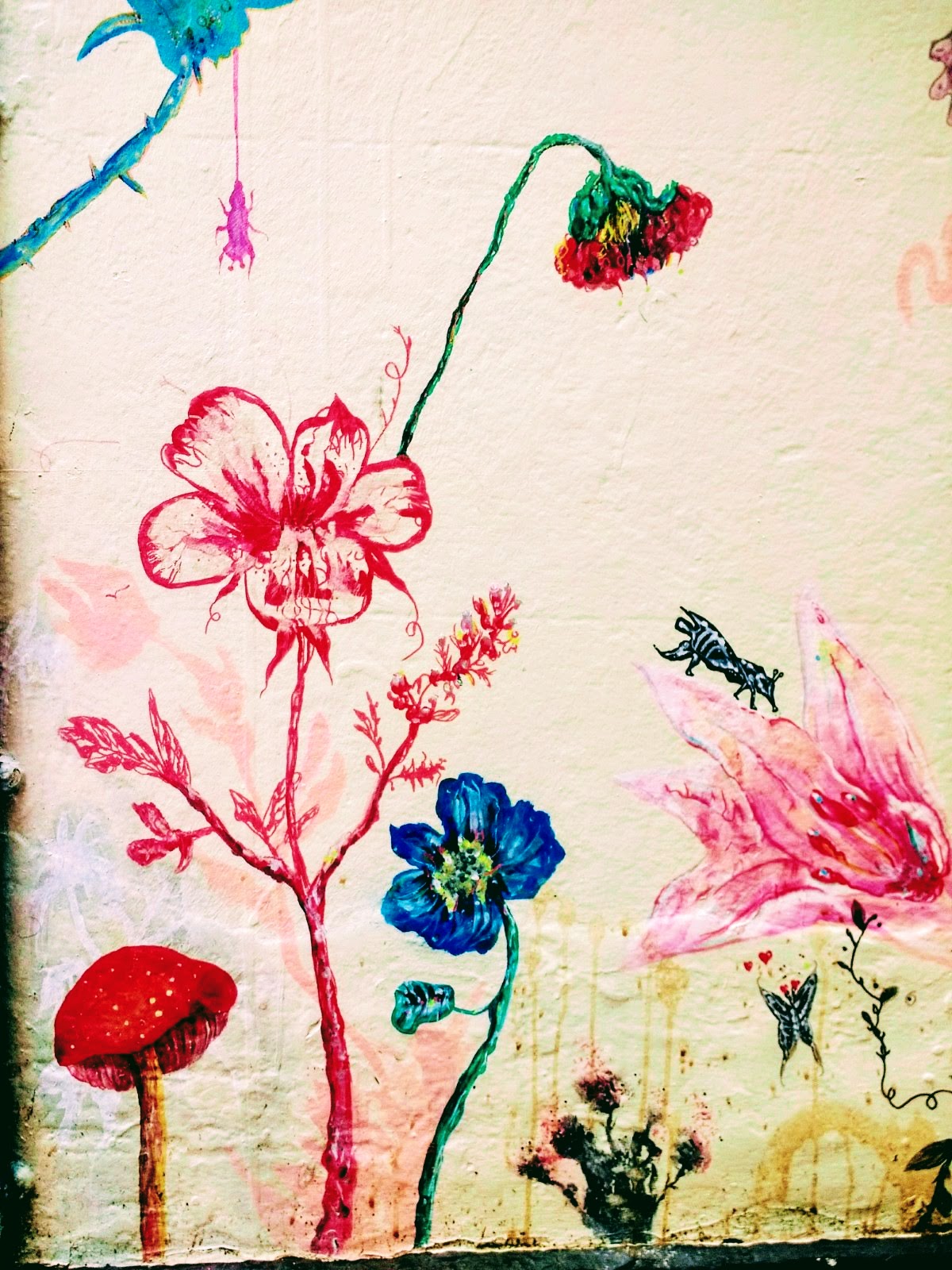 le Roy Art Gallery In Brighton Street Style Claire's World