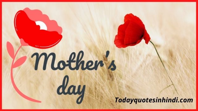 mothers day quotes in hindi 2021 mothers day quotes in hindi 2021