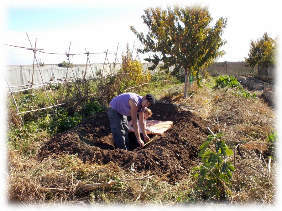 detectar energias teluricas radiestesia zonas geopatogenas