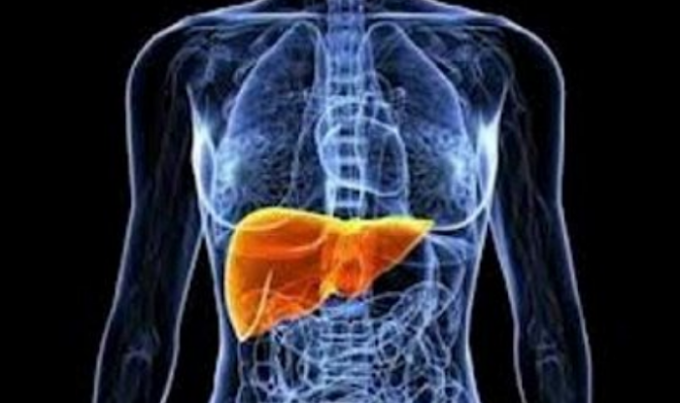 Ποιες τροφές «καθαρίζουν» το συκώτιΠοιες τροφές «καθαρίζουν» το συκώτι