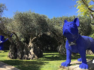 entrada da loja com jardim e cão azul