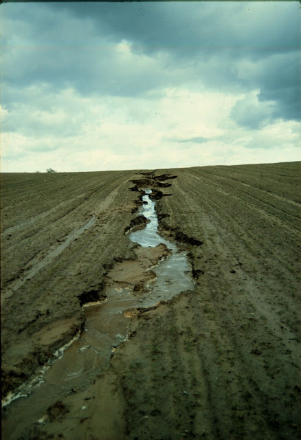 Gây xói mòn đất nông nghiệp là hành vi hủy hoại đất (Ảnh minh họa)