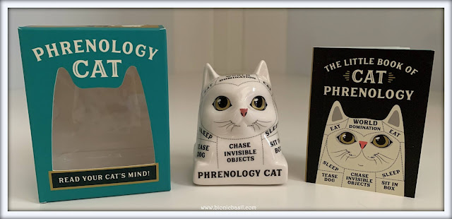 Phrenology Cat Read Your Cat's Mind Feline Fiction on Fridays #133 ©BionicBasil®