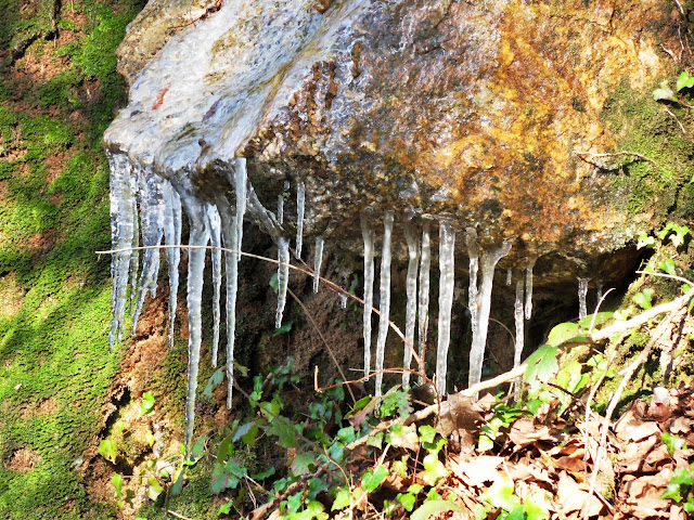 Luxulyan Valley Icicles, Cornwall