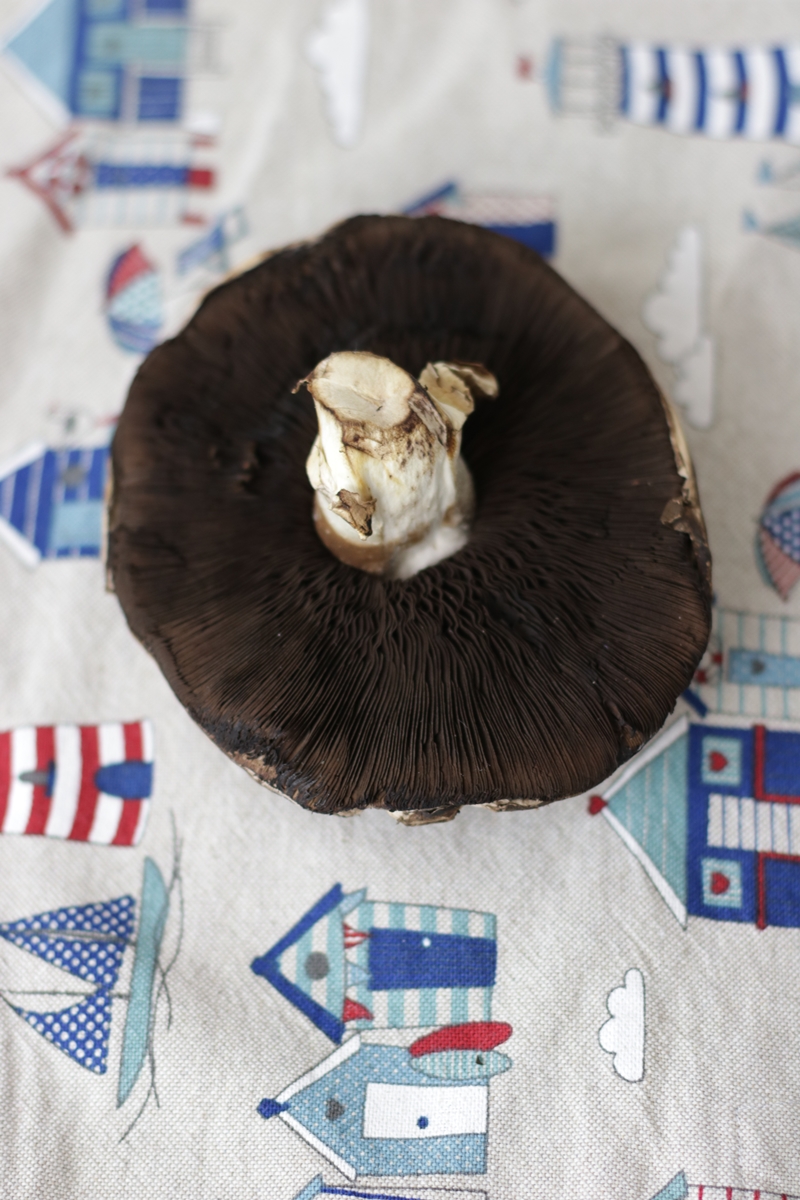 Wolkenfees Küchenwerkstatt: Portobello im Kartoffelmantel mit ... Wolkenfees Küchenwerkstatt: Portobello im Kartoffelmantel mit ...