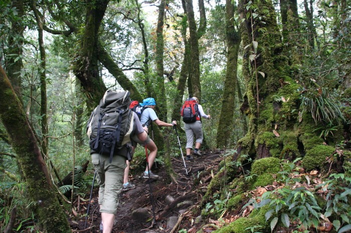 tanjakan di gunung