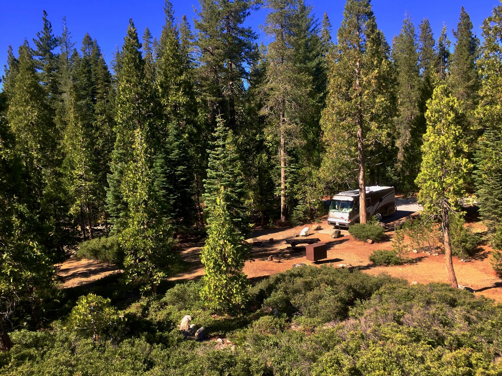 Wandering w/ Serenity Lodgepole Campground