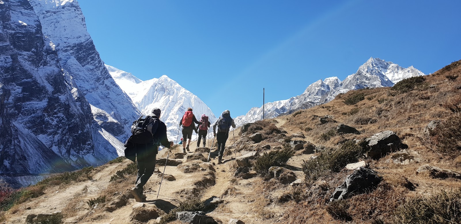 Dream Carrier Treks & Expedition