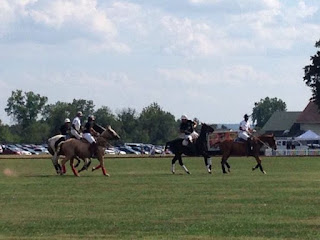 Polo match