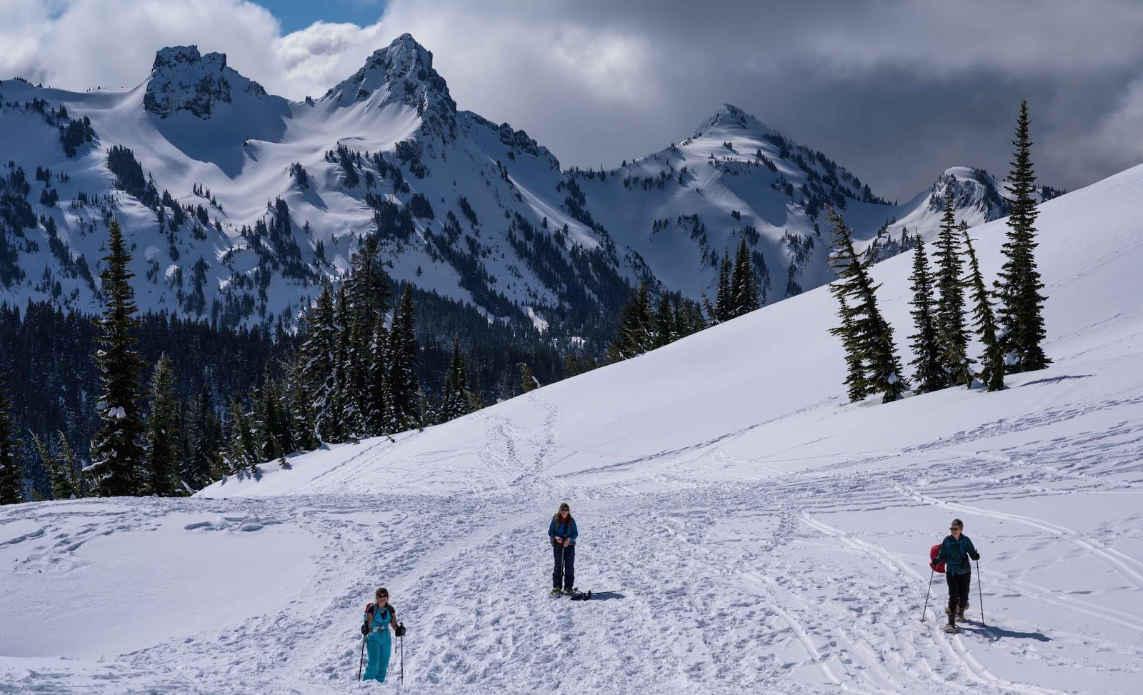 Illuminations from the attic Wild Winter Paradise Snowshoeing at Mt