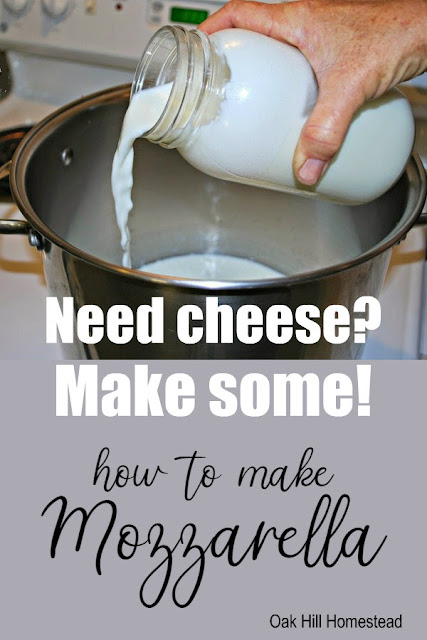 Need cheese? Make some from scratch. Here's how to make mozzarella cheese from storebought milk or milk from your goat or cow.