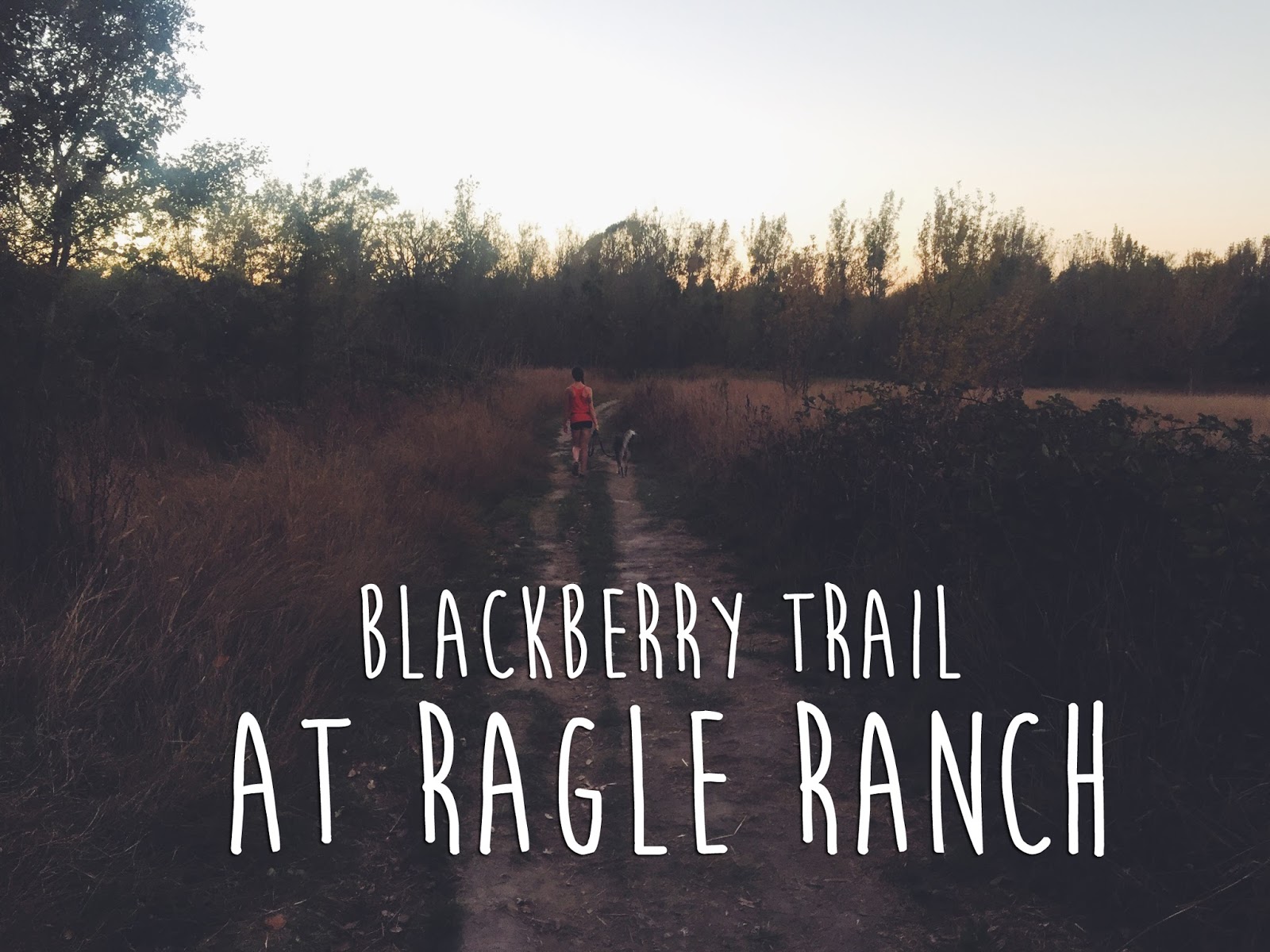 On the trail Ragle Ranch Blackberry Trail Path & Paw