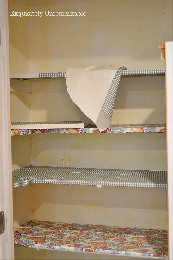 Ripping Out Old Pantry