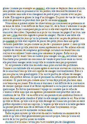 rapport de stage halte garderie