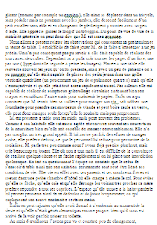 rapport de stage halte garderie