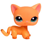 Littlest Pet Shop Multi Pack Cat Shorthair (#1643) Pet