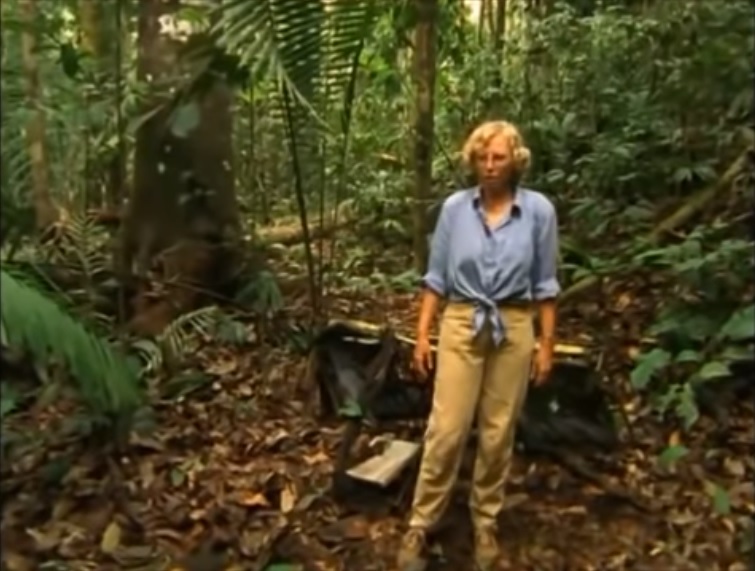 Blogging By Cinemalight Wings of Hope