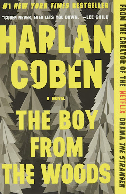 The Boy From the Woods book cover