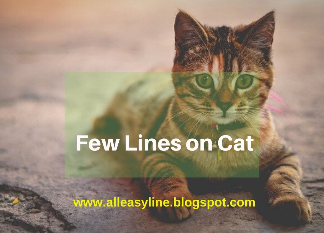 Few Lines on Cat Five Lines on Cat