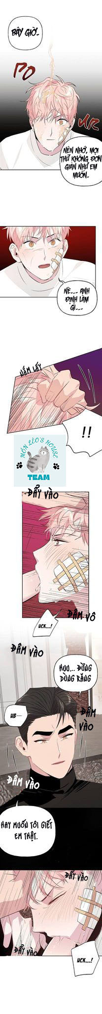 Đọc truyện Assorted Wildness - Chapter 8