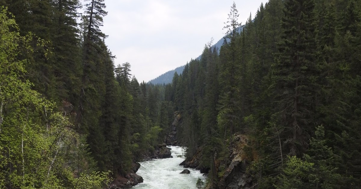 The view from here Fraser River, Mt. Robson Provincial Park