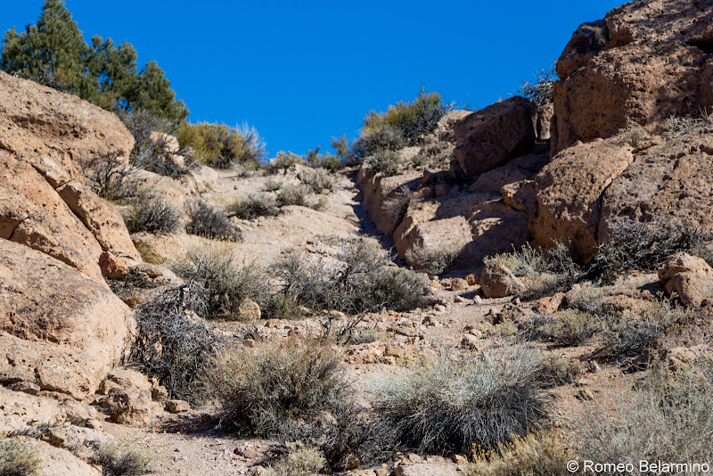 Bishop Wagon Road Things to Do in Bishop California