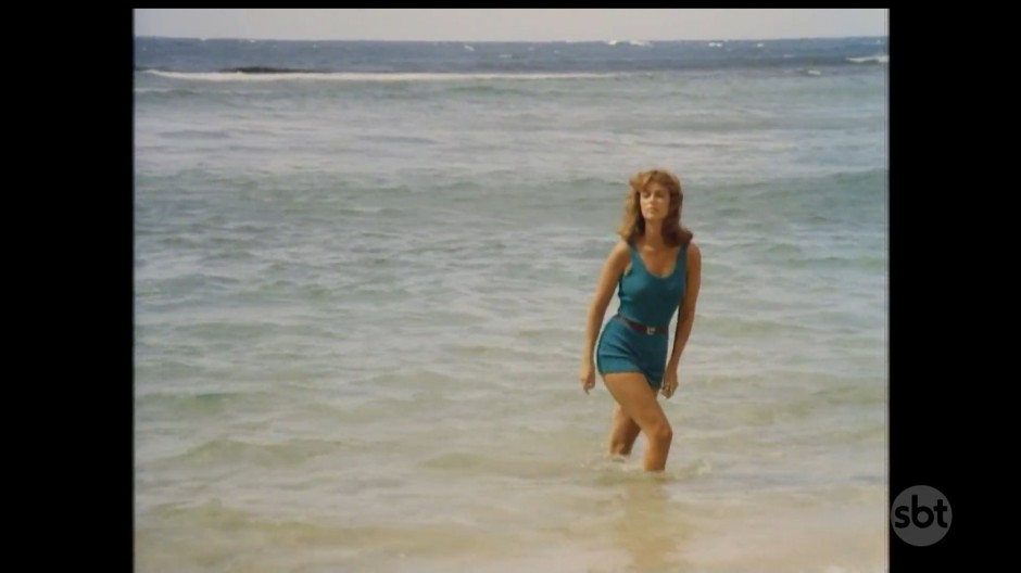 OS PÁSSAROS FERIDOS - MINISSÉRIE COMPLETA (DUBLADO/1080P) – 1983 FormatFactoryPassaros.Feridos.HDTV.1080p.SBT.07.mp4_snapshot_28.38.833