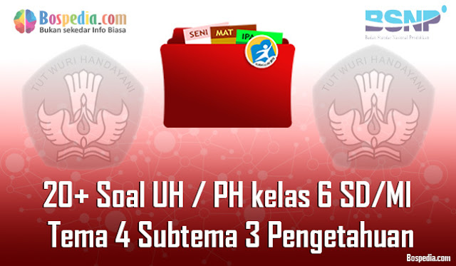 20+ Contoh Soal UH / PH untuk kelas 6 SD/MI Tema 4 Subtema 3 Pengetahuan