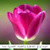 أدبيات ( شيزوفرينيا ) بقلم الأستاذة حنان بدران أدبيات ( شيزوفرينيا ) بقلم الأستاذة حنان بدران
