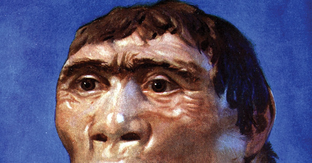 Sejarah Indonesia Kelas X - Awal Mula Bumi dan Munculnya Makhluk Hidup