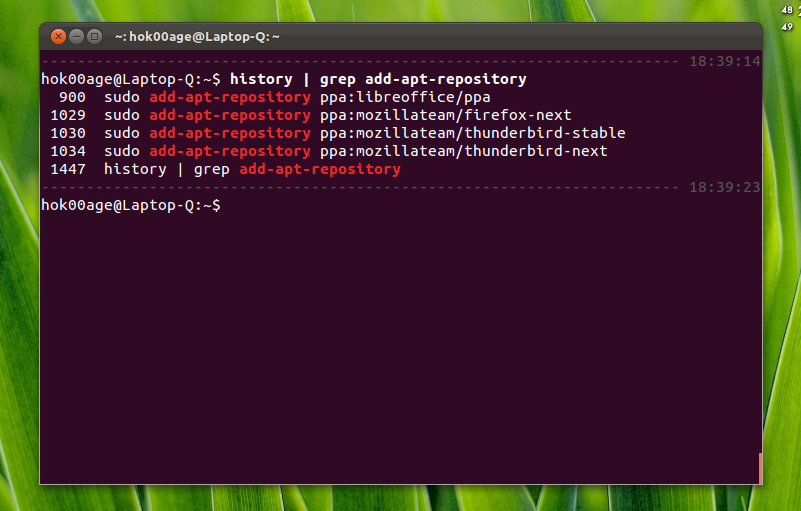 Newbie Guide How to Use PPA Purge