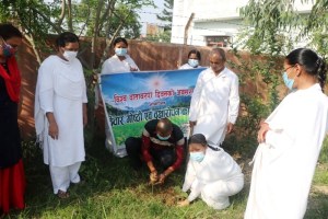  वीरगंज (नेपाल) : विश्व पर्यावरण दिवस के अवसर पर ब्रह्माकुमारीज द्वारा वृक्षाराेपण कार्यक्रम आयाेजन किया