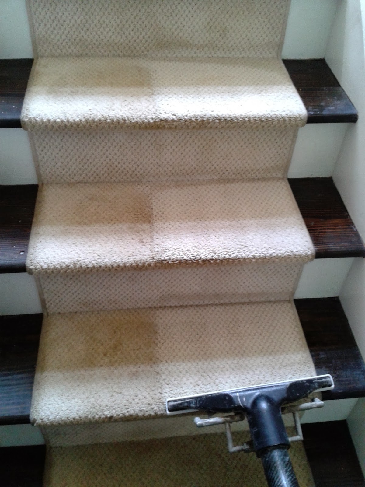 Carpet Cleaning Toms River NJ