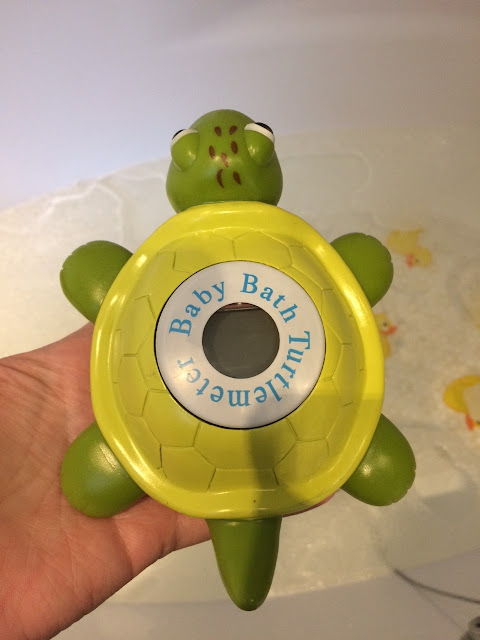 Turtlemeter being put into the bath