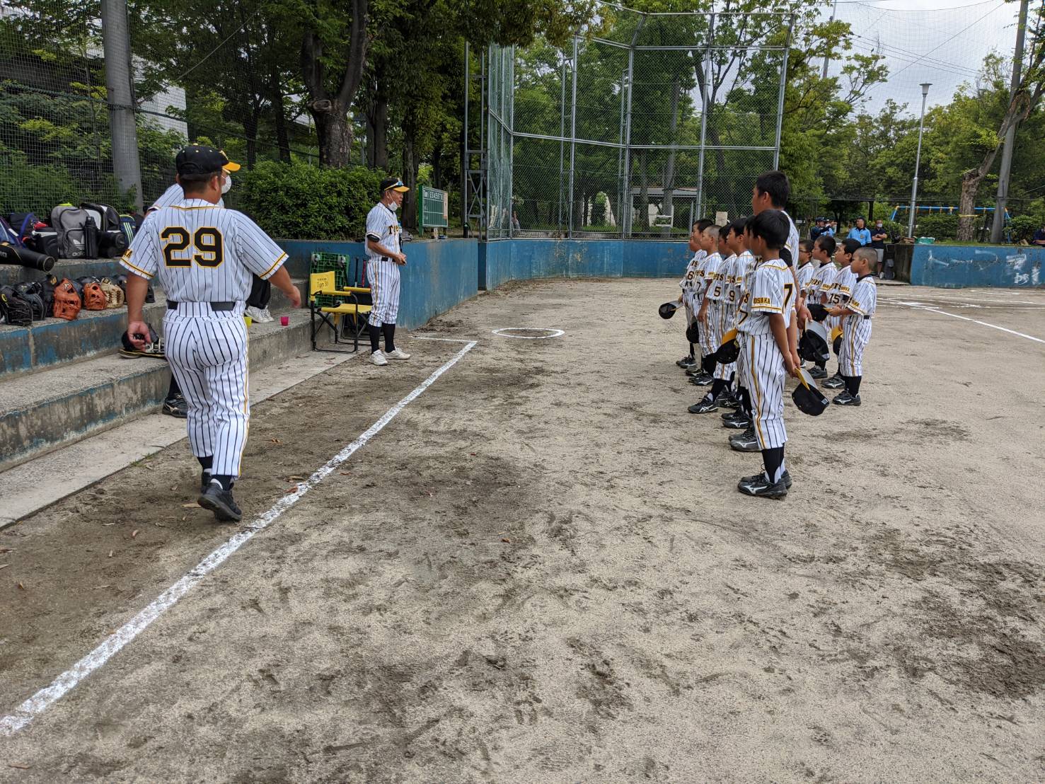 少年 南京 野球 連盟 都