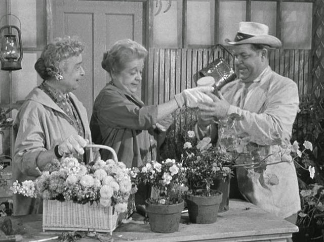 andy griffith alcohol and old lace