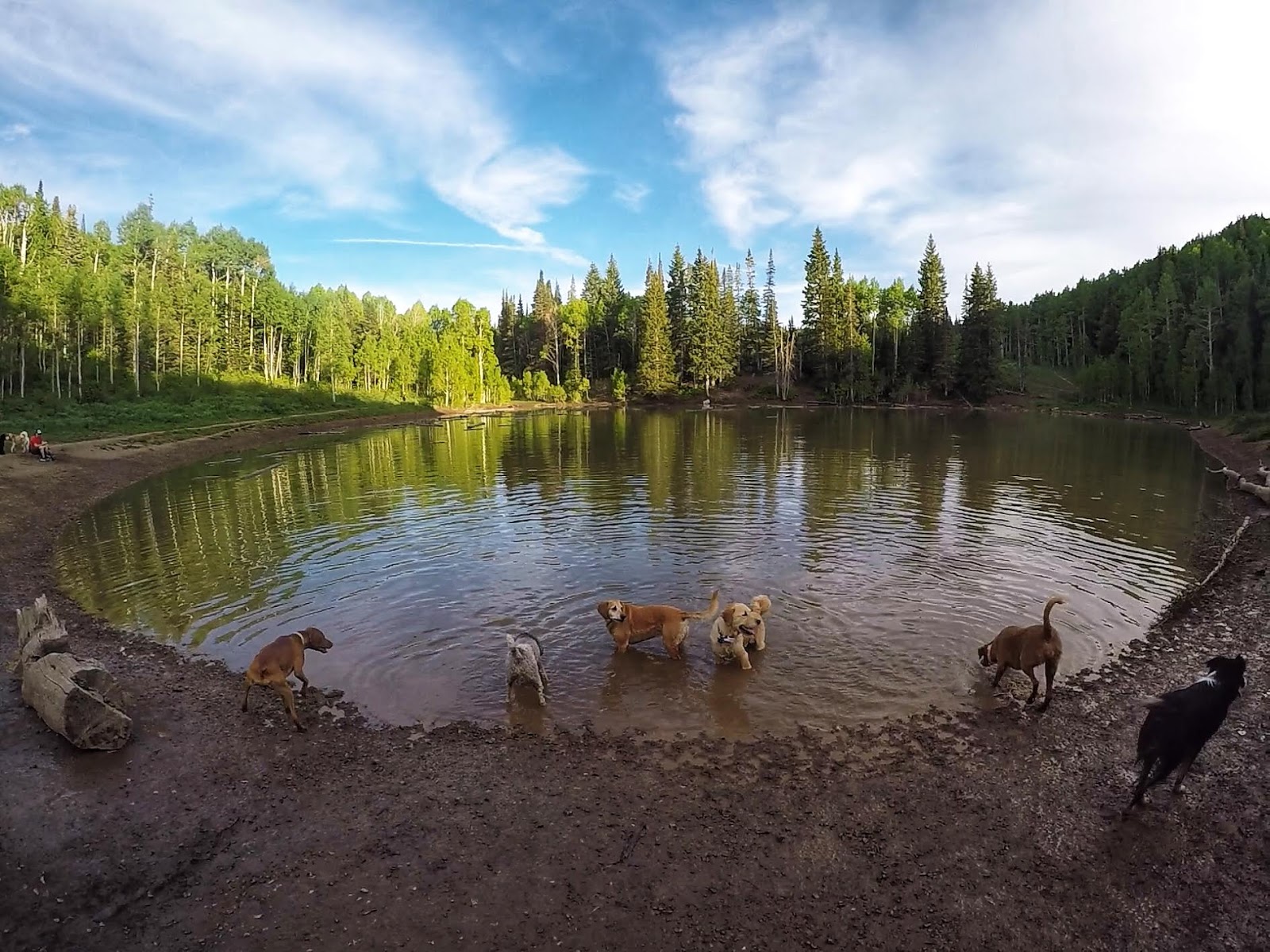 Hiking to Dog Lake, Millcreek Canyon Girl on a Hike