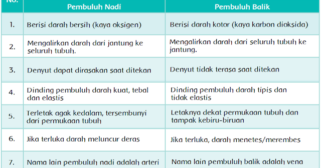 Kunci Jawaban Kelas 5 Tema 4 Perbedaan Pembuluh Nadi Dan Pembulu Balik Bertanyacara