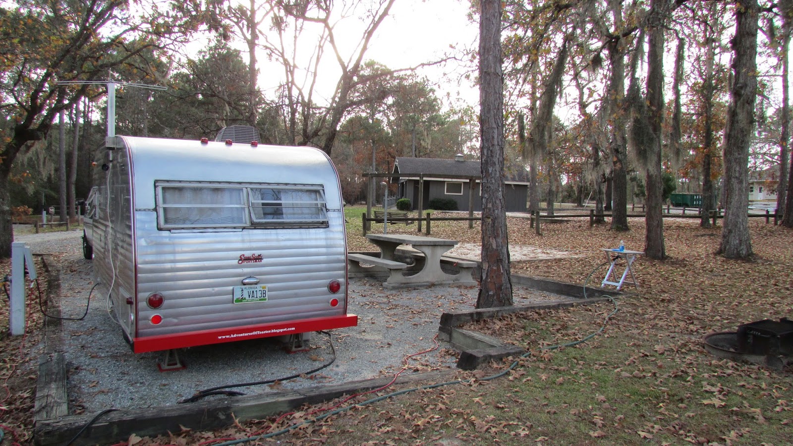 Adventures Of Toaster Gordonia Alatamaha State Park, Reidsville, GA.