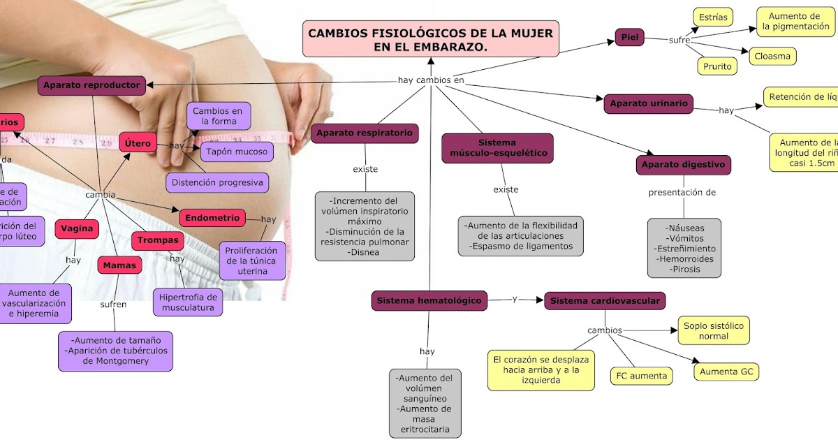 Cuantos kilos se debe subir en el embarazo