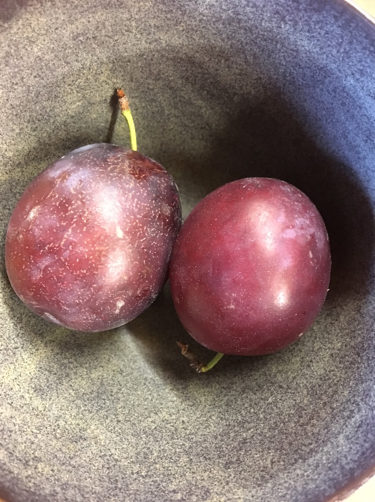 Wormwoodiana Plums in Pershore