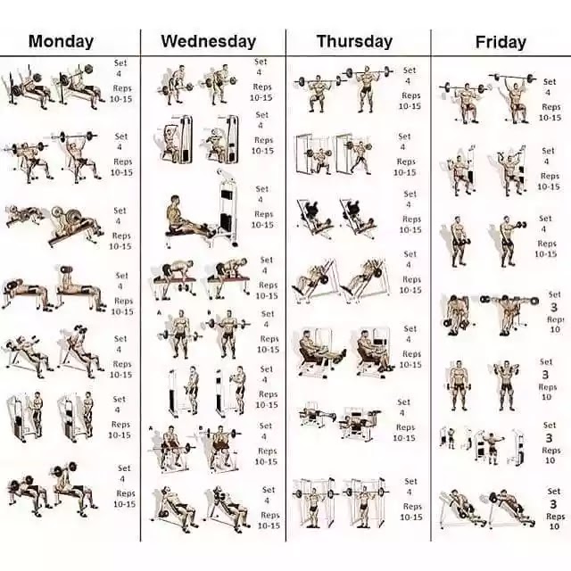 Free Gym Workout Chart