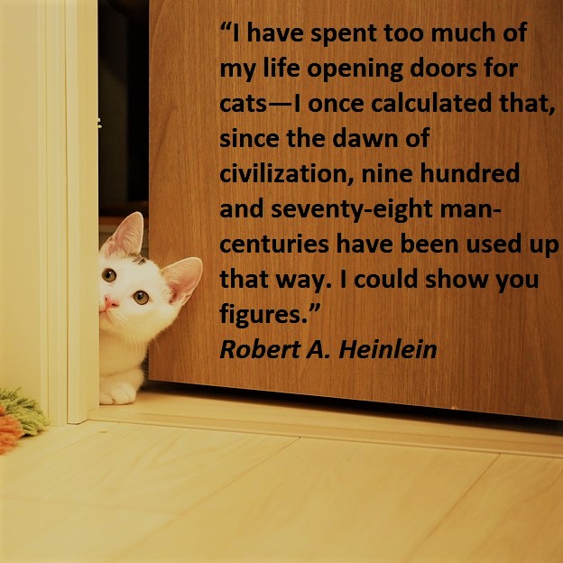 Not So Sweet Toffee Toffee Shares Her Wisdom About Doors