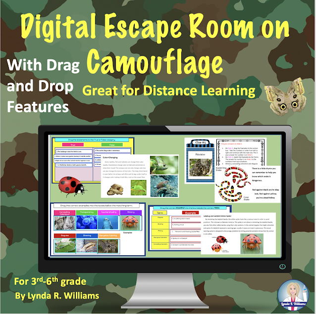 Distance Learning Escape Rooms