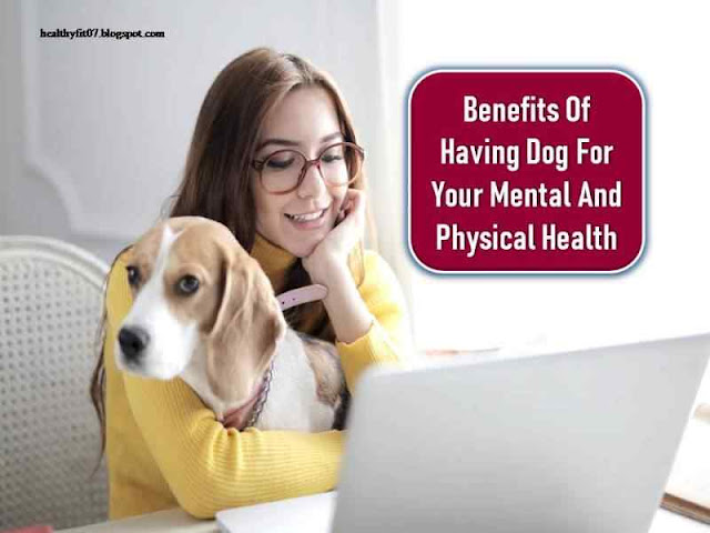 Benefits Of Having Dog For Your Mental And Physical Health