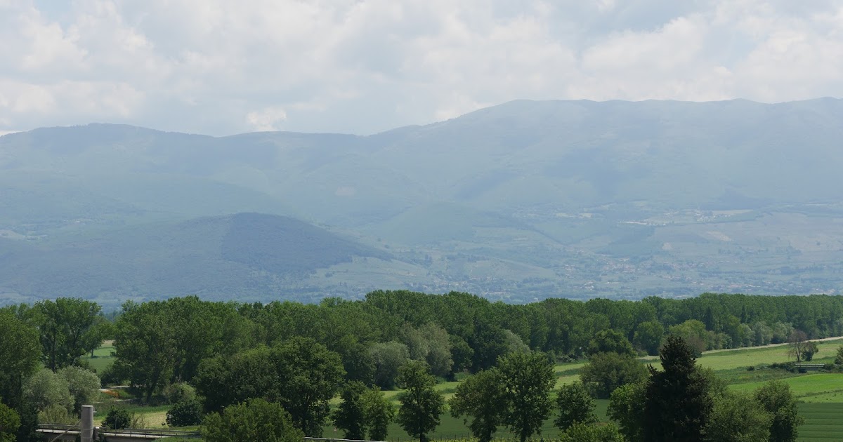Cucina Divina White Lasagna with Sausage and Truffles