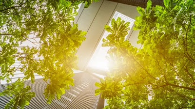 The vanrex essay picture