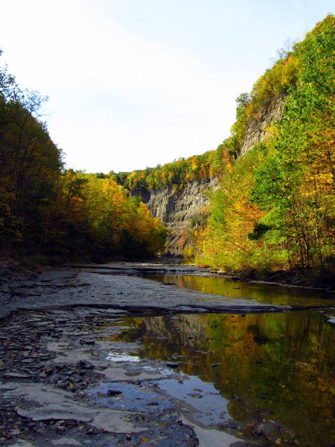 Camping at Taughannock Falls State Park in New York  Road Dog Travel